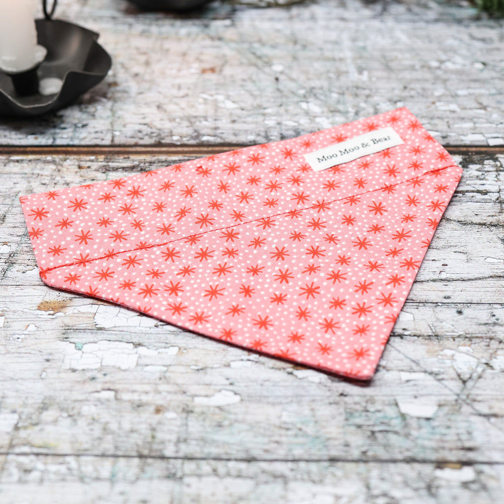 'FURRY AND BRIGHT' DOG BANDANA IN RED
