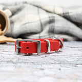 biothane scarlet red dog collar with stainless steel hardware