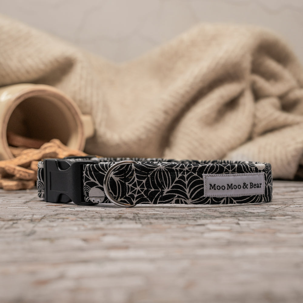 HALLOWEEN COBWEB COLLAR