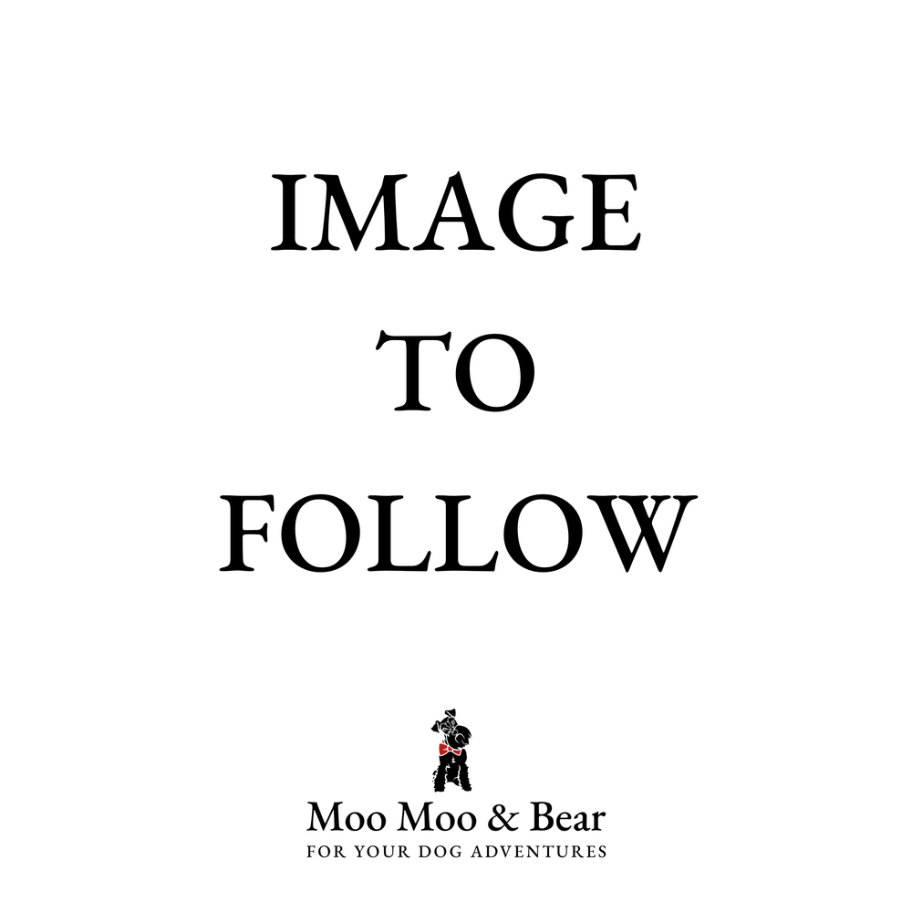 'PETITE GINGHAM FIELD GREEN' DOG COLLAR FELT FLOWER