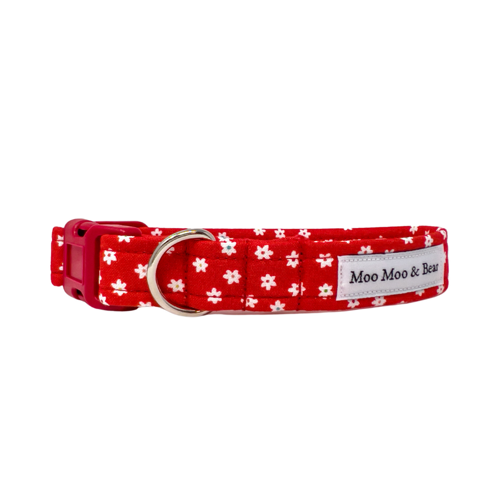 'AMELIA' DOG COLLAR AND OPTIONAL LEAD IN RED