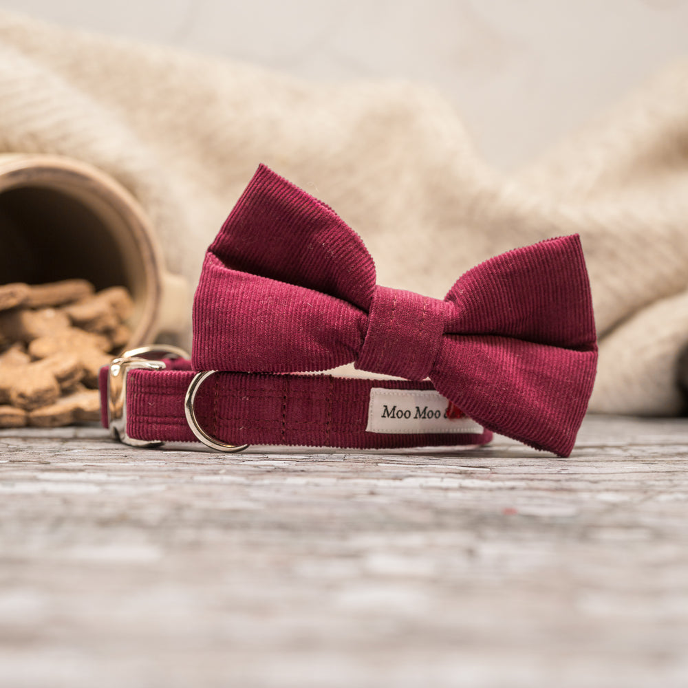 'CORDUROY' DOG BOW TIE IN MERLOT