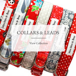 Moo Moo & Bear Dog Collars and Leads Collection