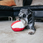 enrichment with miniature schnauzer and pocket ball | Moo Moo & Bear