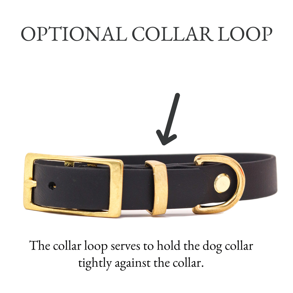 THE WOODLAND COLLECTION GENUINE BIOTHANE® DOG COLLAR -1ST EDITION - MOSS