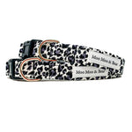 wild thing leopard print dog collar | Moo Moo & Bear