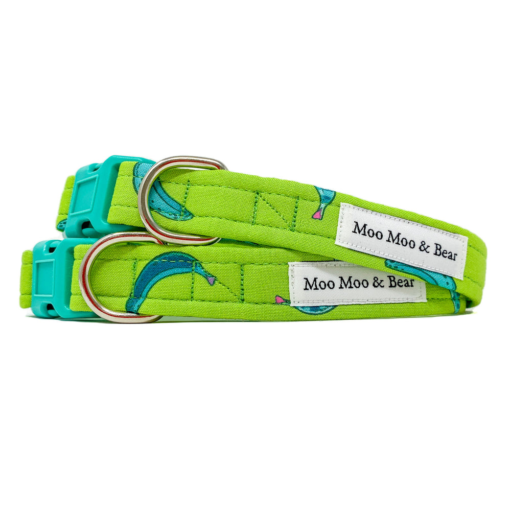 'MONKEY BUSINESS' DOG COLLAR AND OPTIONAL LEAD