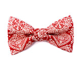 'LACE' DOG BOW TIE IN RED
