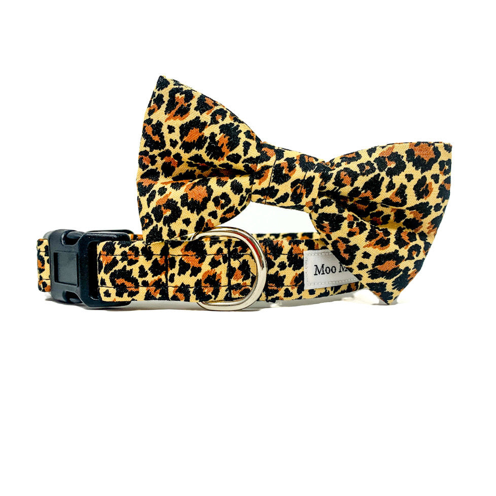 leopard print dog bow tie | Moo moo & Bear