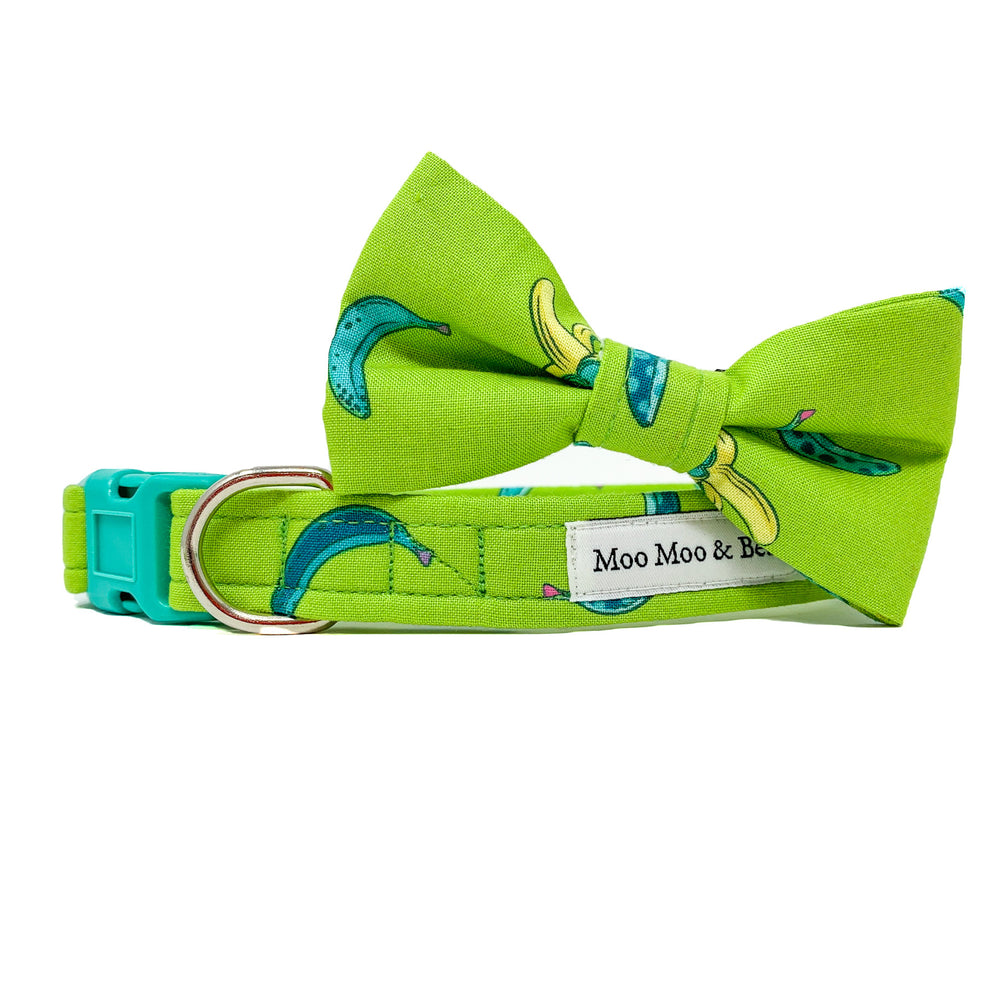 fun monkey bow tie for dogs