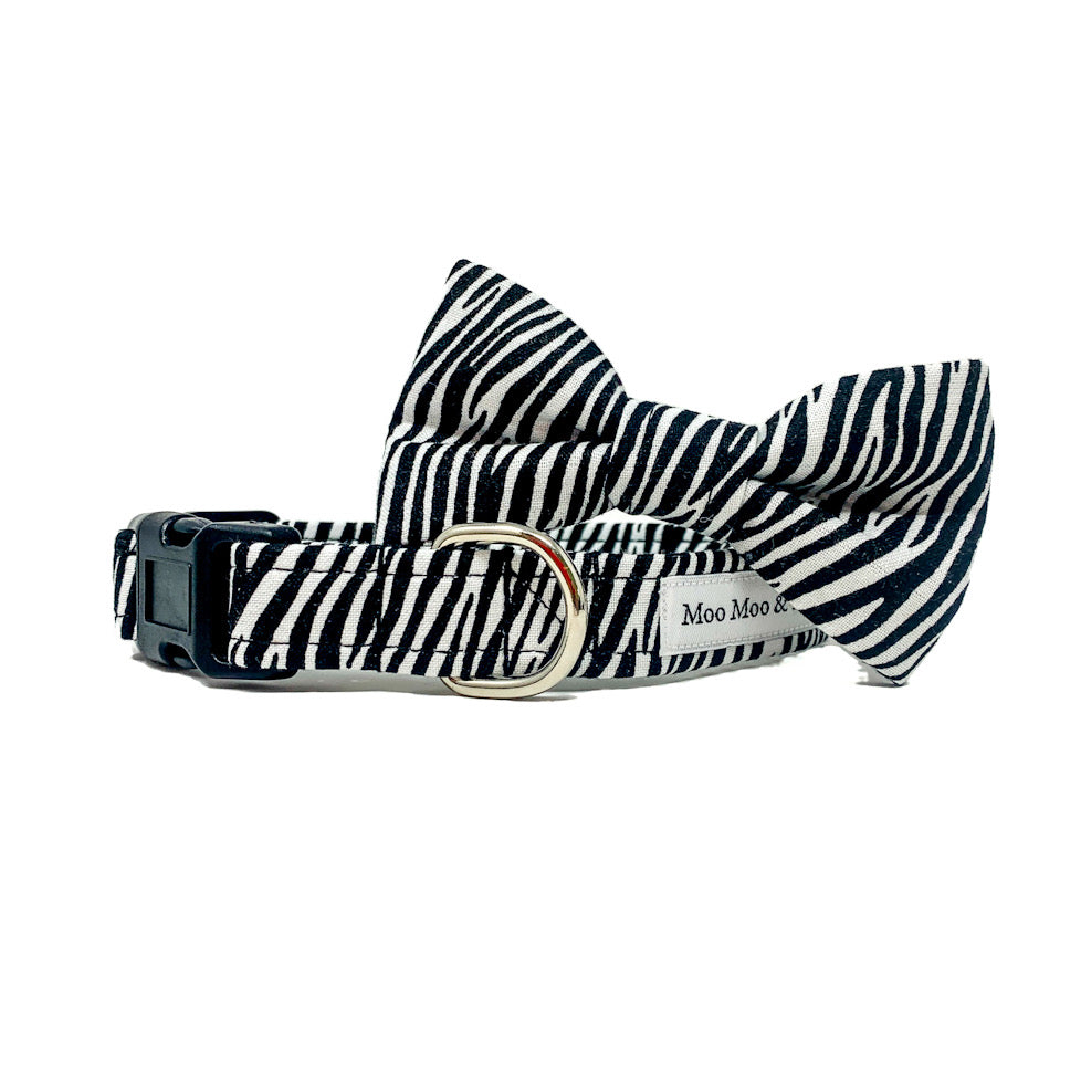 zebra print dog bow tie