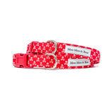 'JOLLY ROGER' DOG COLLAR AND OPTIONAL LEAD IN RED