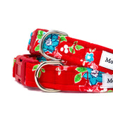 'ROSIE' DOG COLLAR AND OPTIONAL LEAD