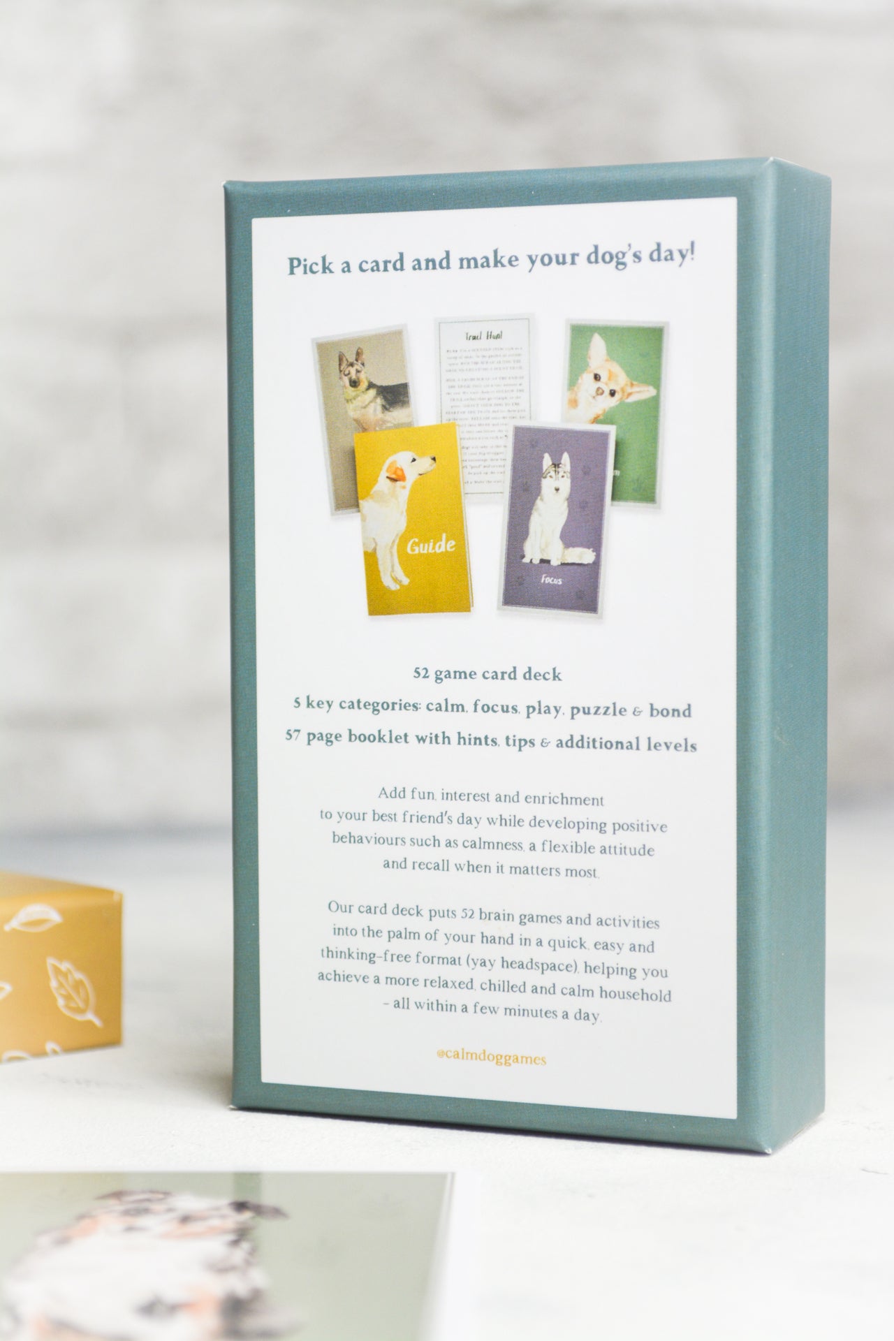 Calm Dog Games Deck Of 52 Dog Enrichment Cards Moo Moo And Bear calm-dog-games-deck-of-52-dog-enrichment-cards-moo-moo-and-bear