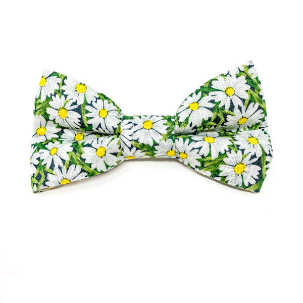 DAISY BOW TIE FOR DOGS
