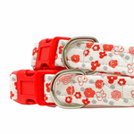 'DITSY' DOG COLLAR AND OPTIONAL LEAD