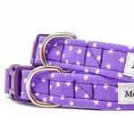 'STAR' DOG COLLAR AND OPTIONAL LEAD IN PURPLE