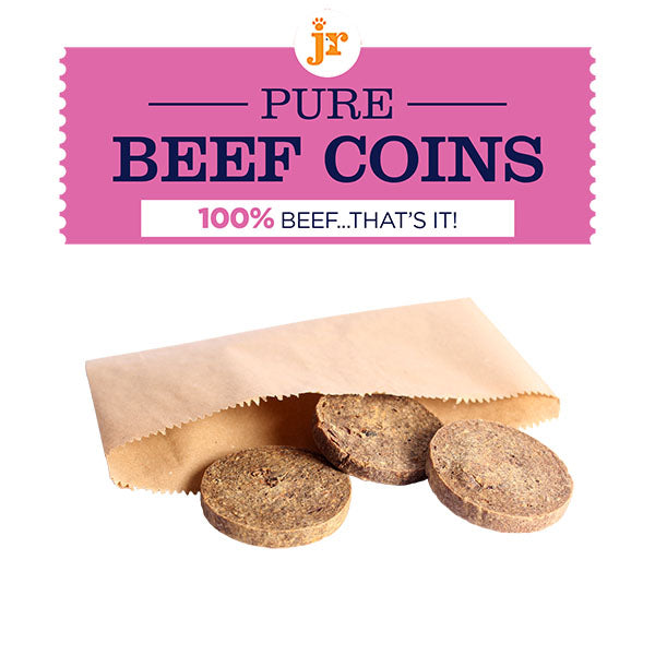 R PET PRODUCTS PURE BEEF COINS