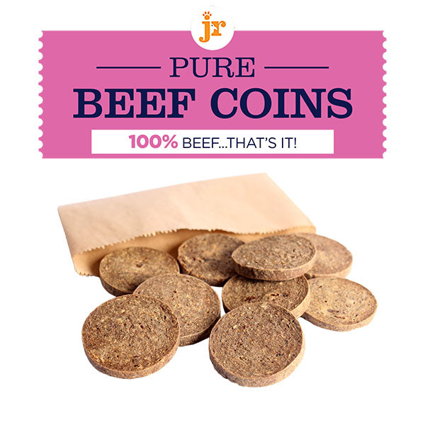 R PET PRODUCTS PURE BEEF COINS