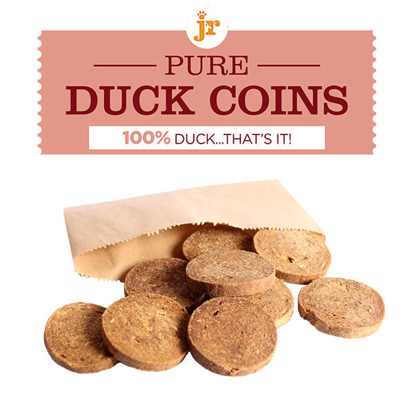 JR PET PRODUCTS PURE DUCK COINS