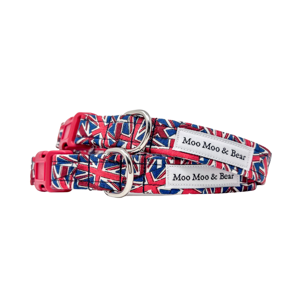 Union jack best sale dog collar