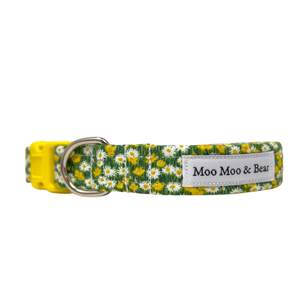 Village meadow yellow and white floral dog collar